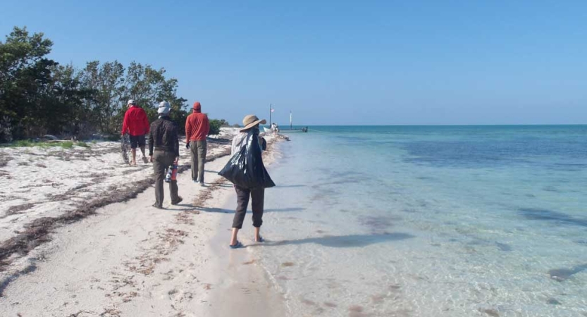 A group of people walk along a sandy beach collecting trash